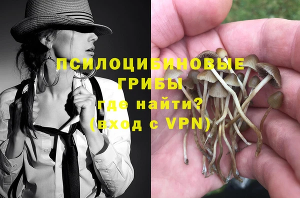 MESCALINE Кукмор