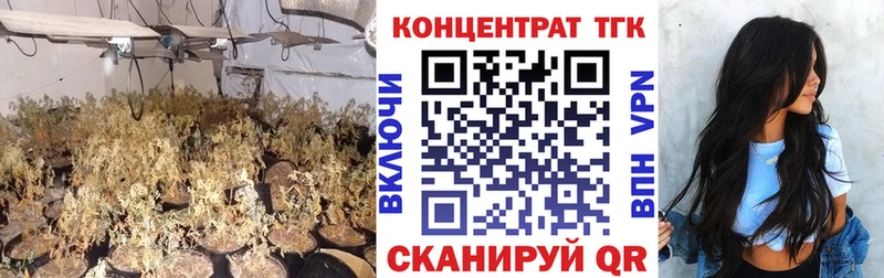 shop телеграм  Кумертау  ТГК вейп  наркота  OMG  
